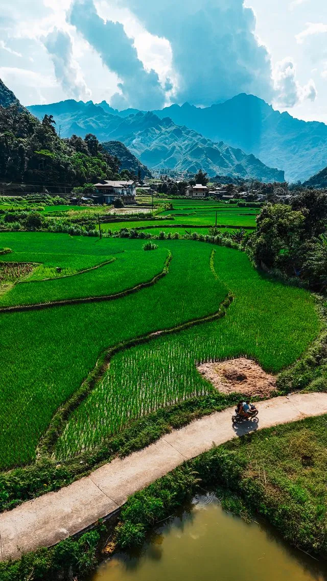 Vietnam