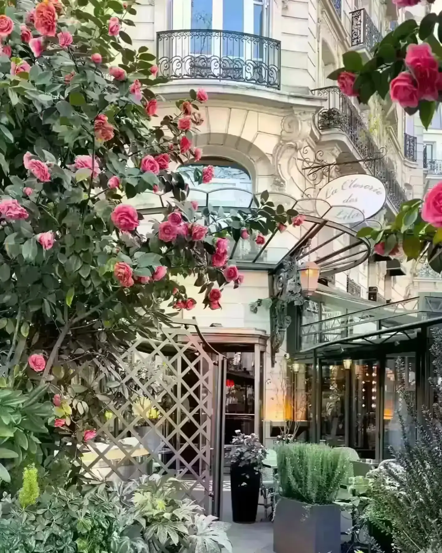 A quiet bench seating area near a caf&eacute; window, similar to Closerie des Lilas's shaded terrace