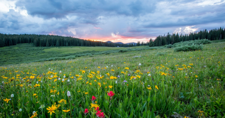 Best Places to Visit in Spring